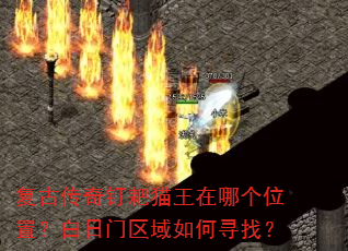 ���Ŵ��涤��è�����ĸ�λ�ã��������������Ѱ�ң�