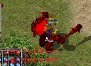 传奇SF玩家如何一步步晋升成为顶级高手? 传奇SF玩家如何一步步晋升成为顶级高手?