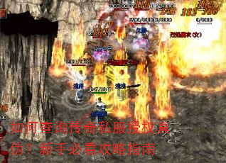 如何查询传奇私服授权真伪?新手必看攻略指南 如何查询传奇私服授权真伪?新手必看攻略指南