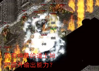 没有神兽的道士如何提升输出能力? 没有神兽的道士如何提升输出能力?
