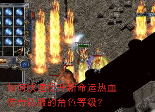 如何快速提升新命运热血传奇私服的角色等级? 如何快速提升新命运热血传奇私服的角色等级?