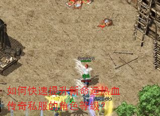 如何快速提升新命运热血传奇私服的角色等级? 如何快速提升新命运热血传奇私服的角色等级?