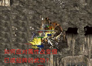 ���Ӧ�����Ըı䵫�ѳ����Ƶ��书��