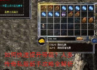 如何快速提升等级?人多传奇私服新手攻略全解析 如何快速提升等级?人多传奇私服新手攻略全解析