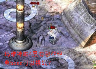 �������4������Щ����boss������ս��
