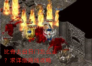 比奇去白日门怎么走?求详细路线攻略 比奇去白日门怎么走?求详细路线攻略
