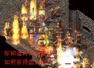 你知道传奇私服1区如何获得血饮吗? 你知道传奇私服1区如何获得血饮吗?