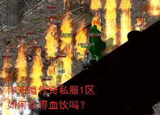 你知道传奇私服1区如何获得血饮吗? 你知道传奇私服1区如何获得血饮吗?