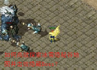 ��θ�Ч̽����ѩ���عȵ�ͼ����������Boss��