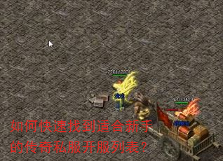 如何快速找到适合新手的传奇私服开服列表? 如何快速找到适合新手的传奇私服开服列表?