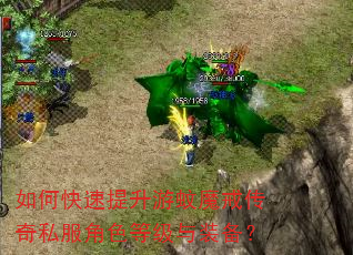 如何快速提升游蚊魔戒传奇私服角色等级与装备? 如何快速提升游蚊魔戒传奇私服角色等级与装备?