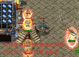 如何快速提升传奇角色等级与战力?新手攻略全解析 如何快速提升传奇角色等级与战力?新手攻略全解析