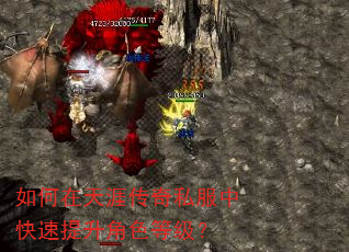 如何在天涯传奇私服中快速提升角色等级? 如何在天涯传奇私服中快速提升角色等级?