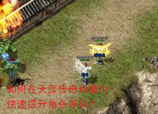如何在天涯传奇私服中快速提升角色等级? 如何在天涯传奇私服中快速提升角色等级?