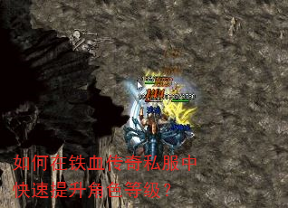 如何在铁血传奇私服中快速提升角色等级? 如何在铁血传奇私服中快速提升角色等级?