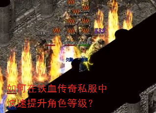 如何在铁血传奇私服中快速提升角色等级? 如何在铁血传奇私服中快速提升角色等级?