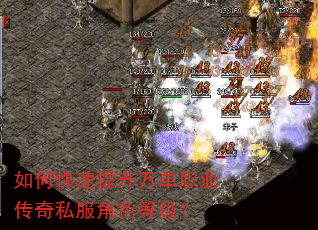 如何快速提升万单职业传奇私服角色等级? 如何快速提升万单职业传奇私服角色等级?