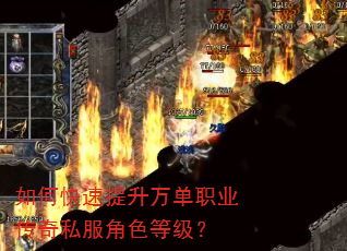如何快速提升万单职业传奇私服角色等级? 如何快速提升万单职业传奇私服角色等级?
