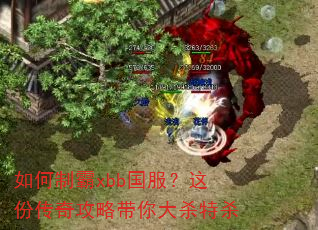 如何制霸xbb国服?这份传奇攻略带你大杀特杀 如何制霸xbb国服?这份传奇攻略带你大杀特杀
