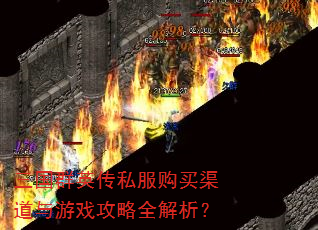 ����ȺӢ��˽��������������Ϸ����ȫ������