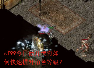 sf99�����¿�������ο���������ɫ�ȼ���