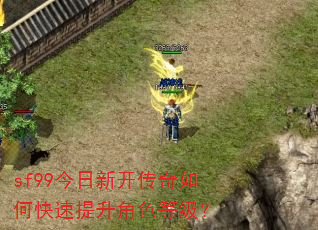 sf99�����¿�������ο���������ɫ�ȼ���
